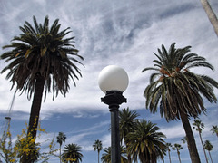 Boule de cocotiers / Coconut trees crystal ball