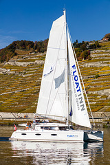 171017 catamaran Lavaux