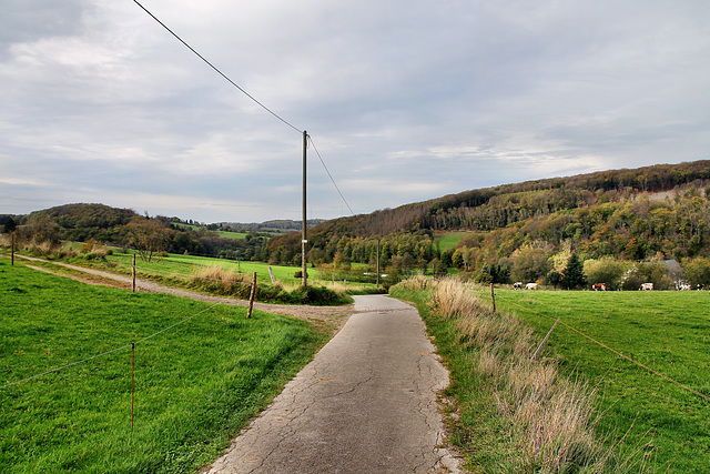 Zur Fahrentrappe (Hattingen) / 6.11.2022