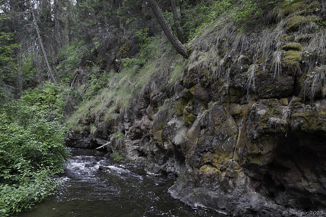 beim Bridge Creek (© Buelipix)