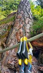 Via Ferrata # 400 (4)