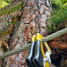 Via Ferrata # 400 (4)