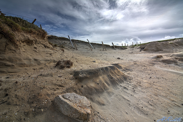 Sandswept Fence