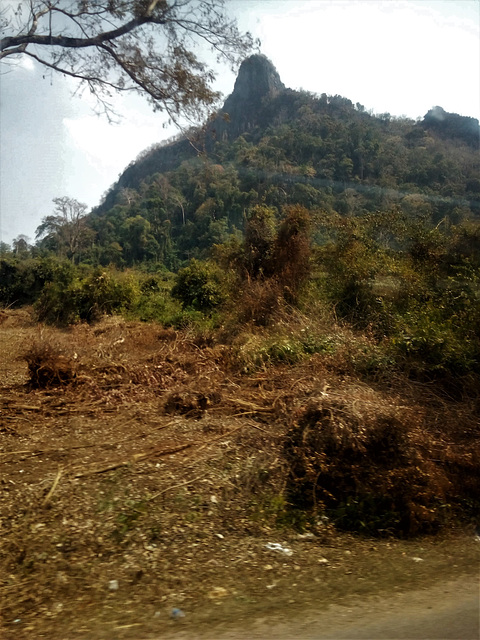 La nature Laotienne sans déchet ou presque.....