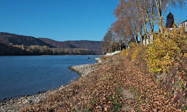 Herbst am Mittelrhein