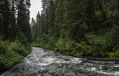 am Bridge Creek (© Buelipix)