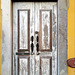 Tavira, Door