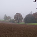 Ein ziemlich nebliger Tag / A Rather Foggy Day IV