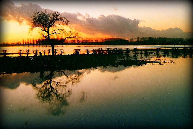 Border Flood............(dia-Scan )