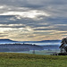 Benken ZH 2.01.22 / Blick auf die Berner Alpen