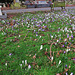 chingford mount cemetery, london