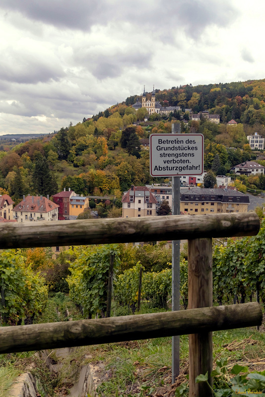 HFF und H.A.N.W.E. - nicht abstürzen am Weinberg!