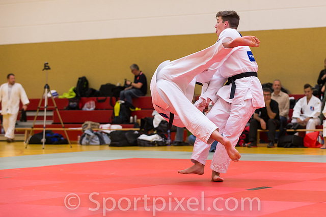 kata17-0640 37991221661 o