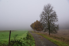 Ein ziemlich nebliger Tag / A Rather Foggy Day V