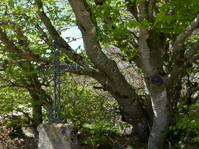 20220501 Rando Le Tayrac (Cevennes) (59)