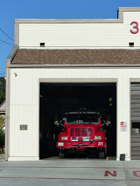 A Portrait of Engine 3171 (1) - 17 November 2015