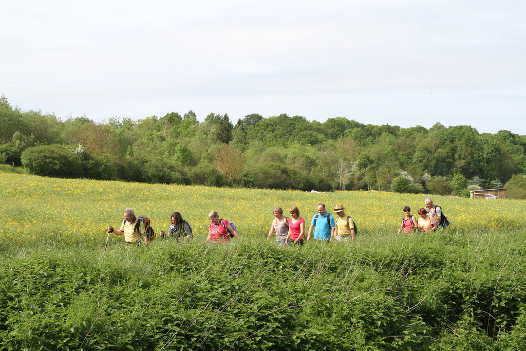 Randonnée La Chapelle Gauthier - Bombon - 21/05/2016