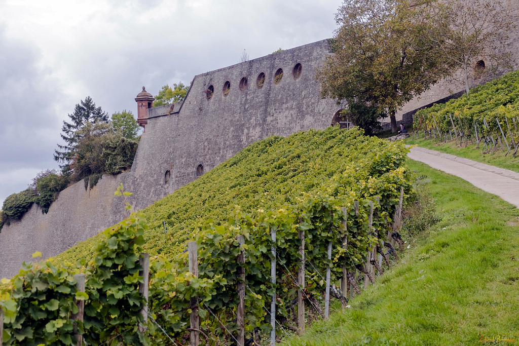 Auf dem Weg zur Festung Marienberg