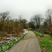 Weg am Ruhrufer (Essen-Überruhr) / 25.01.2019