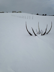 crosscountry skiing