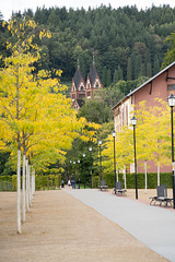 TreffenSABTag2-57 TreffenSABTag2-57