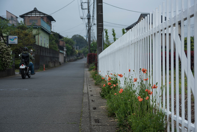 Ordinary morning scene