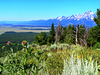 Jackson Hole & Grand Tetons - Grand Teton National Park