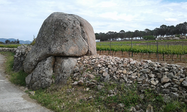 Capmany - Steine & Weinberge & Olivenhaine...