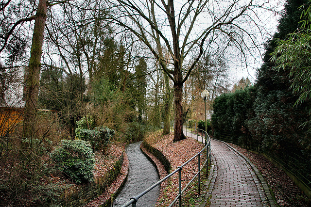 Weg an der Elbsche (Wetter-Wengern) / 30.12.2021