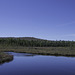 Moorgebiet brim Spruce Bog Boardwalk (© Buelipix)