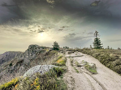 mystery on the crest