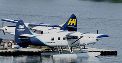 de Havilland Canada DHC-3 Turbo Otter C-FHAA (Harbour Air)
