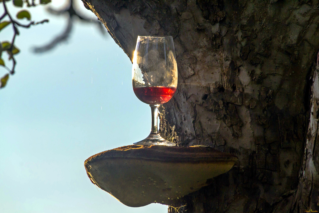 Glas am Baum