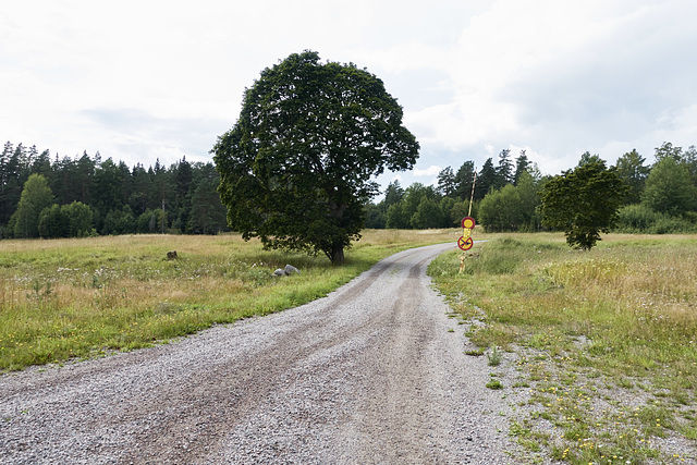 -landschaft-06571-co-08-08-19