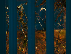Oh Those Barriers