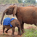 The older orphans watch over the younger ones