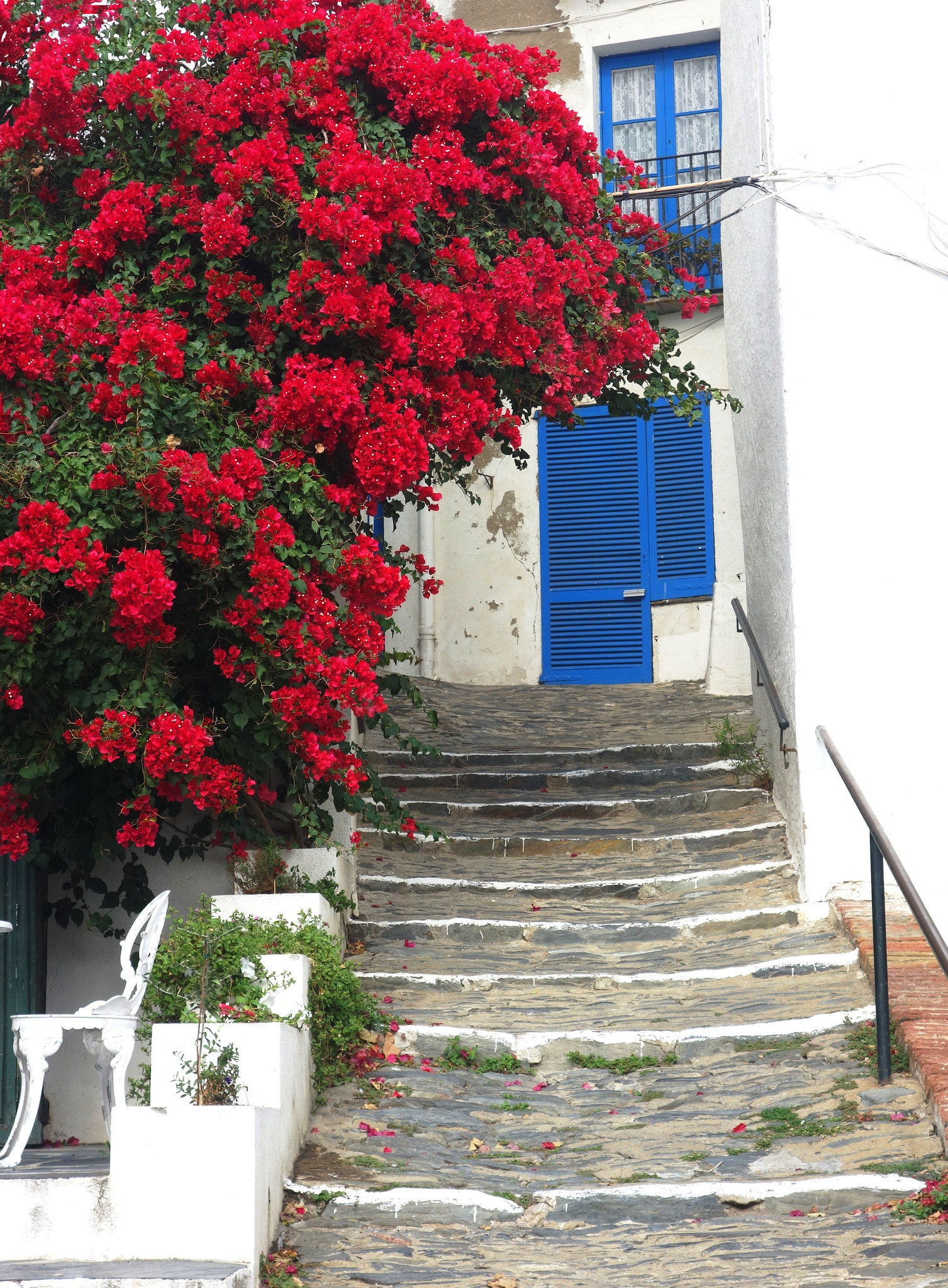 La montée des couleurs.