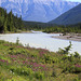 Kootenay River