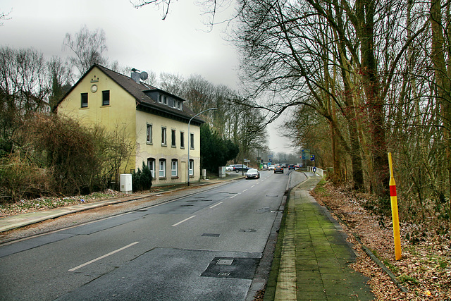 Langenberger Straße (Essen-Überruhr) / 25.01.2019