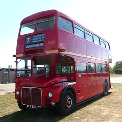 Stonham Barns 'The Big Bus Show' - 14 Aug 2022 (P1130054)