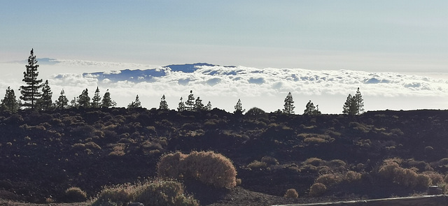 Teide....  Ayer