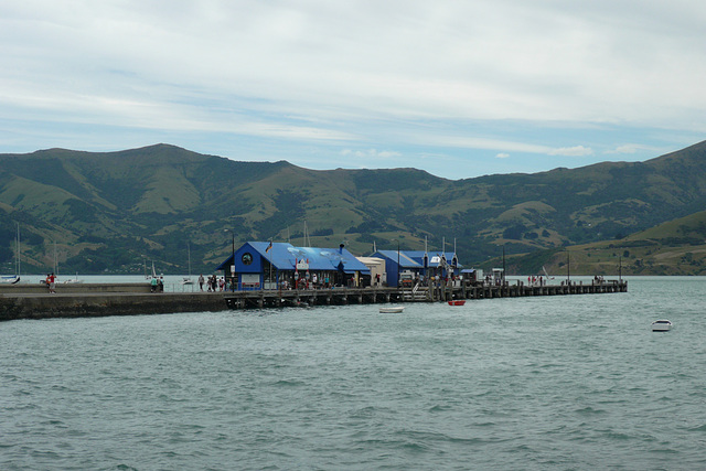 Akaroa Pier