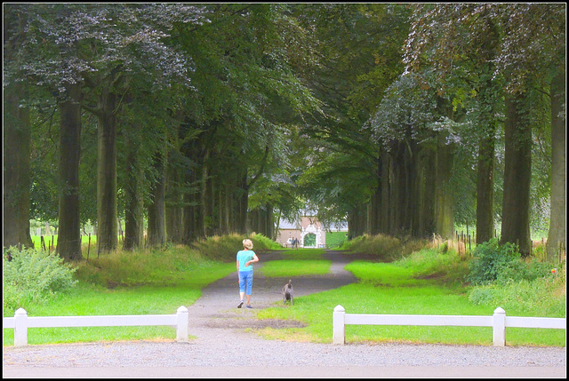 Below beeches