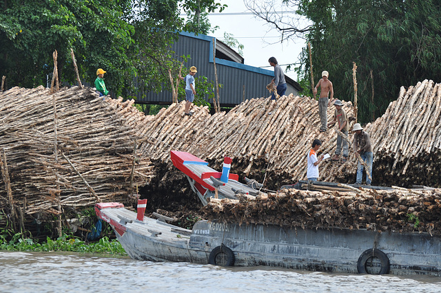 Vietnam 06 2011