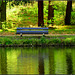 (Hbm) by the pond