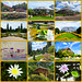 Bilder des Tages - 02.09.2025 - Bot. Garten Bln.