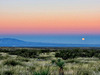 Moon Setting On Mescal