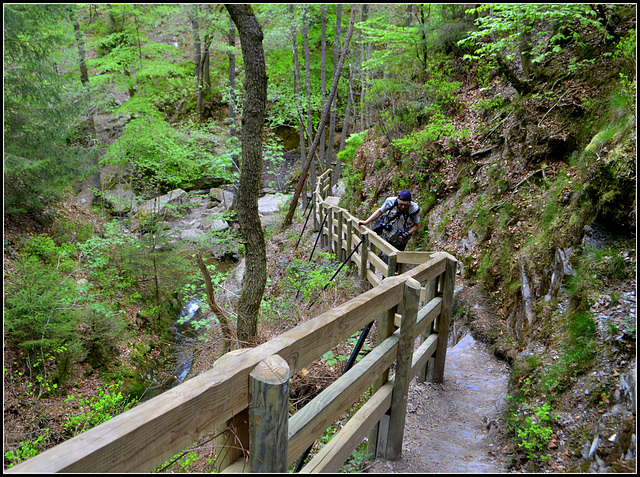 HFF,,for everyone 14-2-2020.....Climbing in the Ardennes