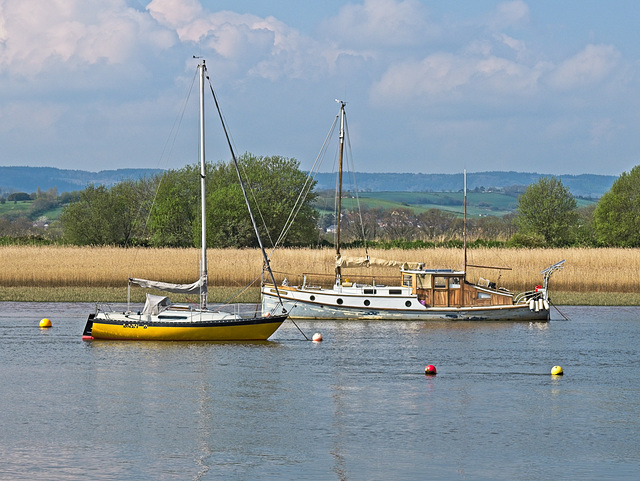 Sailing boats........Topsham, Devon (+(PiP)