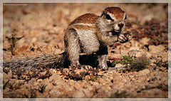 just a snack just a snack